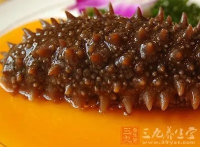 黄金卵海参的营养价值及食用方法详解