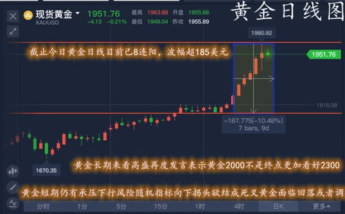 B股如何购买黄金（B股投资黄金的方法和技巧）