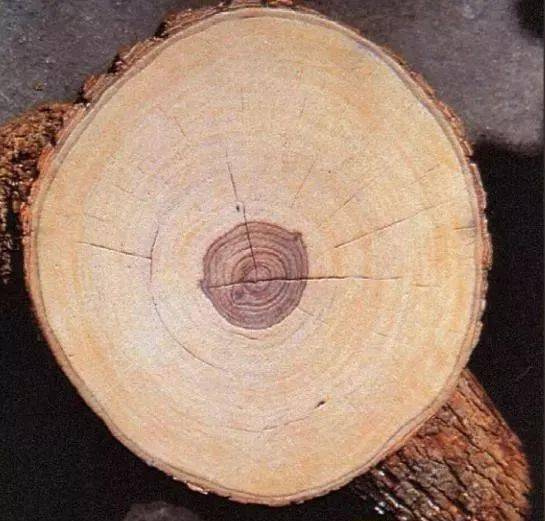天成黄金怎么样（天成黄金产品介绍及用户体验）