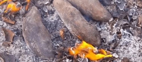 怎么刷黄金猪皮袄,黄金猪皮袄刷法详解