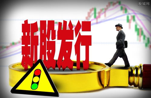 中新股多久几点知道 中新股几天后上市