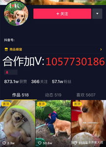 1000元如何在抖音创业 抖音创业投资多少钱