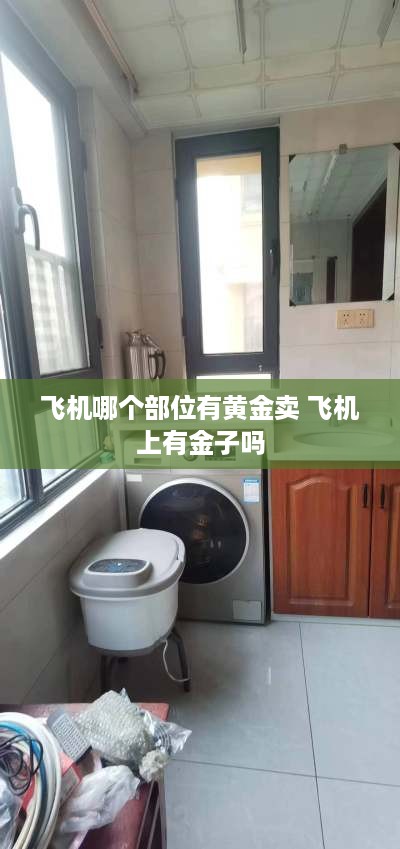 飞机哪个部位有黄金卖 飞机上有金子吗