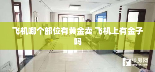 飞机哪个部位有黄金卖 飞机上有金子吗