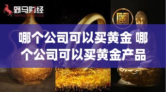 哪个公司可以买黄金 哪个公司可以买黄金产品