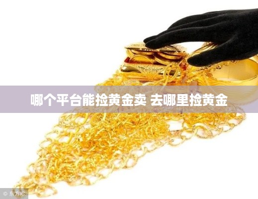 哪个平台能捡黄金卖 去哪里捡黄金