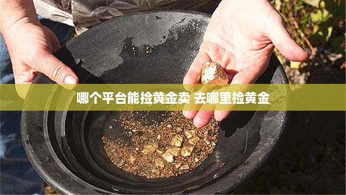 哪个平台能捡黄金卖 去哪里捡黄金