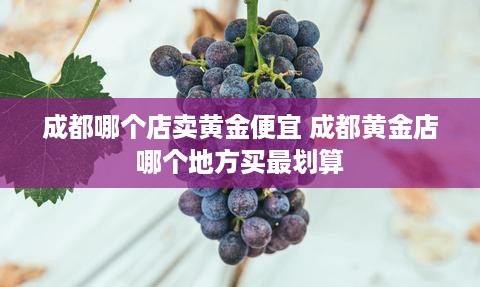 成都哪个店卖黄金便宜 成都黄金店哪个地方买最划算