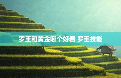 罗王和黄金哪个好看 罗王技能