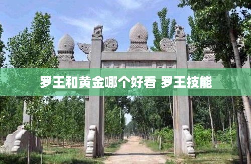 罗王和黄金哪个好看 罗王技能