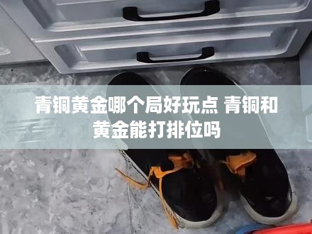 青铜黄金哪个局好玩点 青铜和黄金能打排位吗