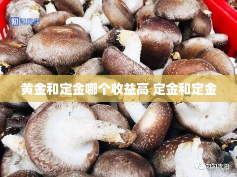 黄金和定金哪个收益高 定金和定金