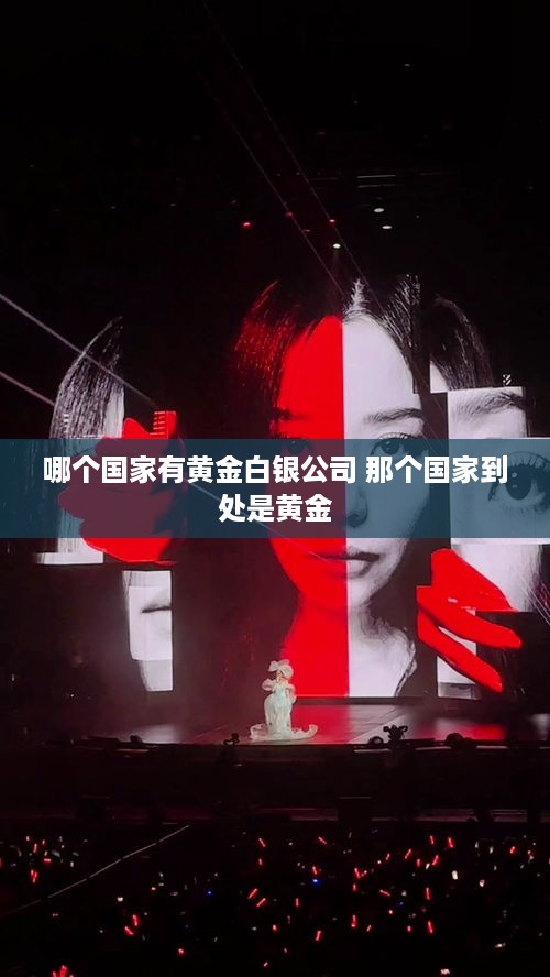 哪个国家有黄金白银公司 那个国家到处是黄金