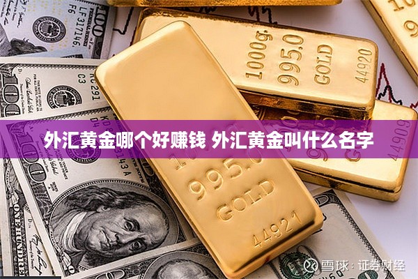 外汇黄金哪个好赚钱 外汇黄金叫什么名字