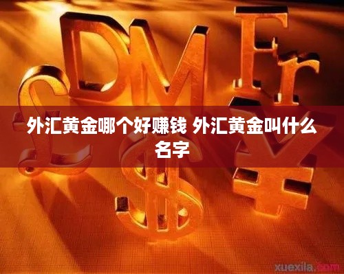 外汇黄金哪个好赚钱 外汇黄金叫什么名字