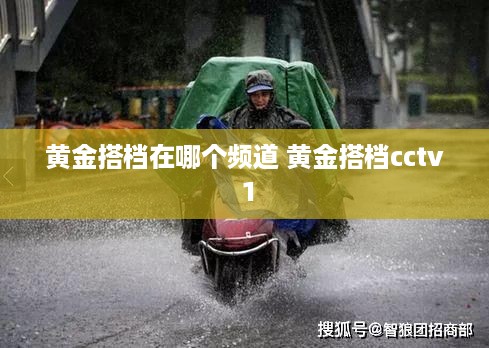 黄金搭档在哪个频道 黄金搭档cctv 1