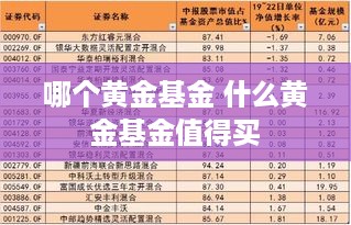 哪个黄金基金 什么黄金基金值得买
