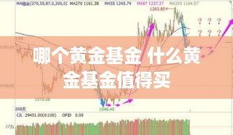 哪个黄金基金 什么黄金基金值得买