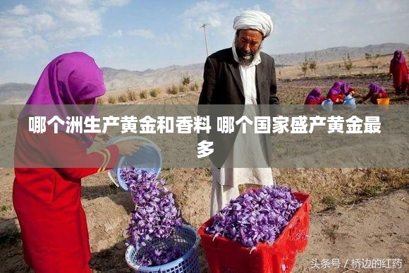 哪个洲生产黄金和香料 哪个国家盛产黄金最多
