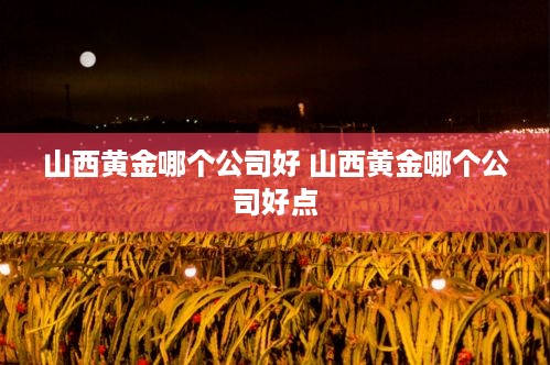 山西黄金哪个公司好 山西黄金哪个公司好点