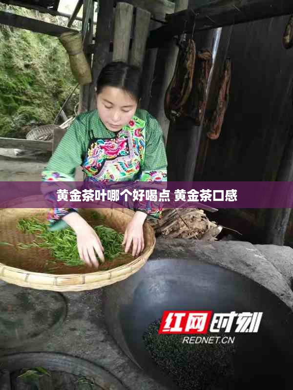 黄金茶叶哪个好喝点 黄金茶口感
