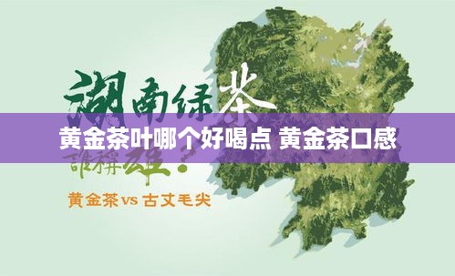 黄金茶叶哪个好喝点 黄金茶口感