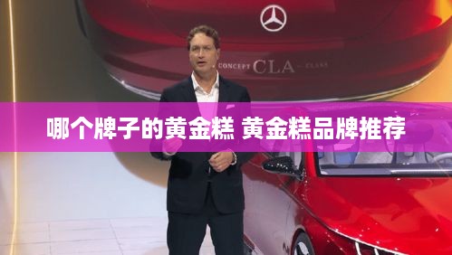 哪个牌子的黄金糕 黄金糕品牌推荐
