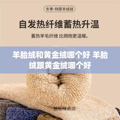 羊胎绒和黄金绒哪个好 羊胎绒跟黄金绒哪个好