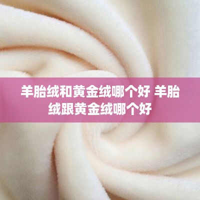 羊胎绒和黄金绒哪个好 羊胎绒跟黄金绒哪个好