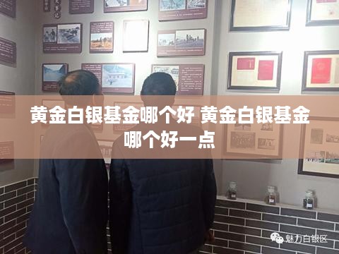 黄金白银基金哪个好 黄金白银基金哪个好一点