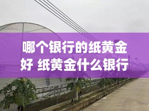 哪个银行的纸黄金好 纸黄金什么银行好