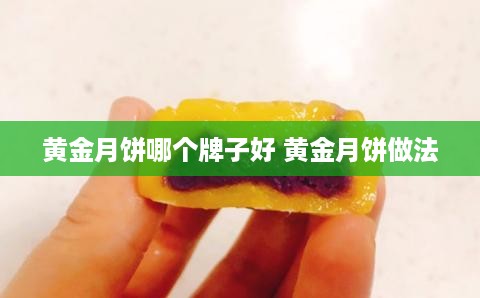 黄金月饼哪个牌子好 黄金月饼做法