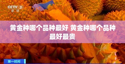 黄金种哪个品种最好 黄金种哪个品种最好最贵