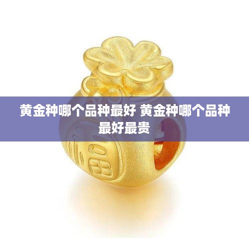 黄金种哪个品种最好 黄金种哪个品种最好最贵