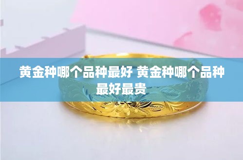 黄金种哪个品种最好 黄金种哪个品种最好最贵