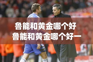 鲁能和黄金哪个好 鲁能和黄金哪个好一点