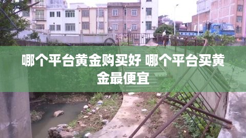 哪个平台黄金购买好 哪个平台买黄金最便宜