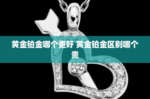 黄金铂金哪个更好 黄金铂金区别哪个贵