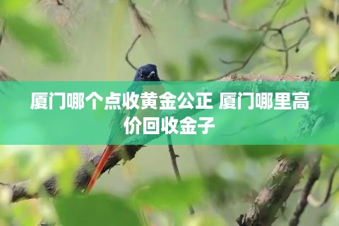 厦门哪个点收黄金公正 厦门哪里高价回收金子