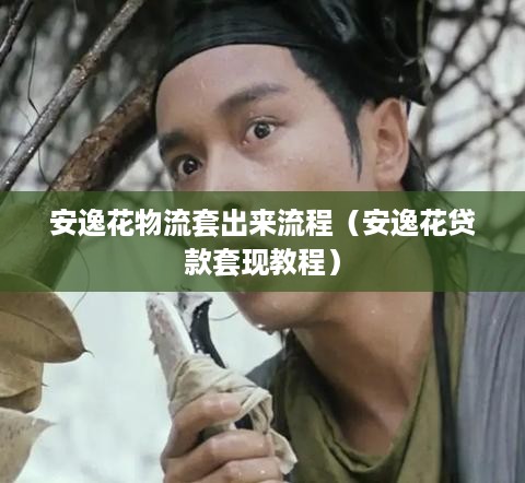 安逸花物流套出来流程（安逸花贷款套现教程）