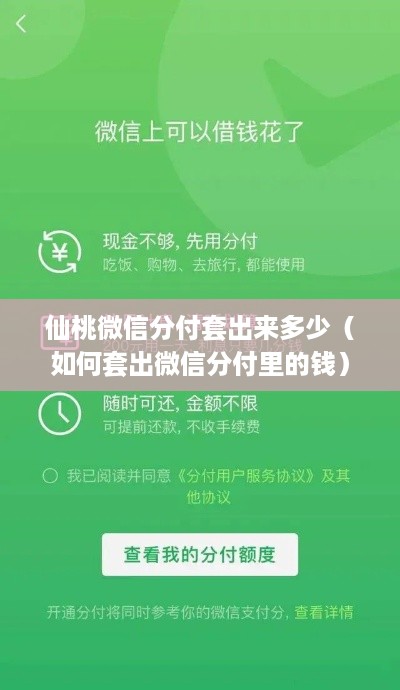 仙桃微信分付套出来多少（如何套出微信分付里的钱）