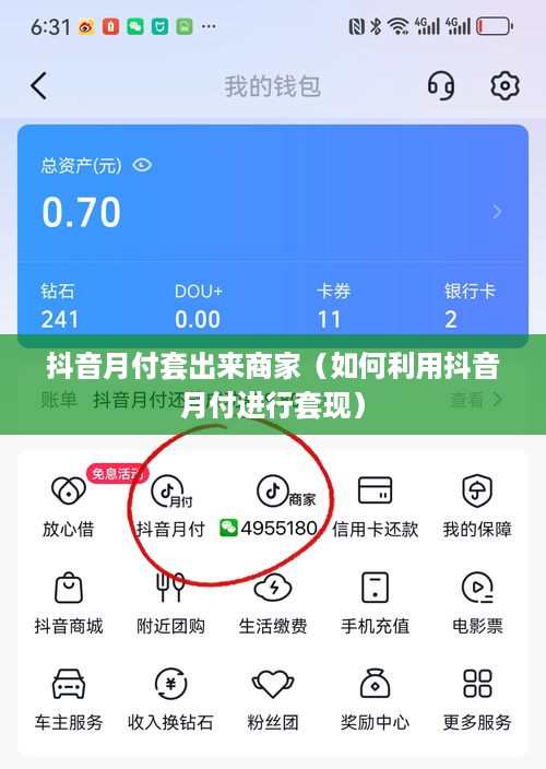 抖音月付套出来商家（如何利用抖音月付进行套现）