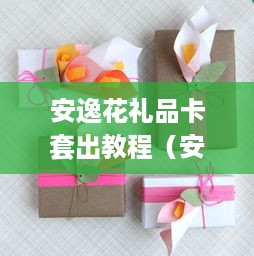 安逸花礼品卡套出教程（安逸花礼品卡套制作）