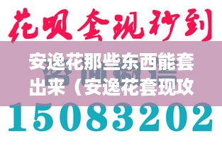 安逸花那些东西能套出来（安逸花套现攻略）