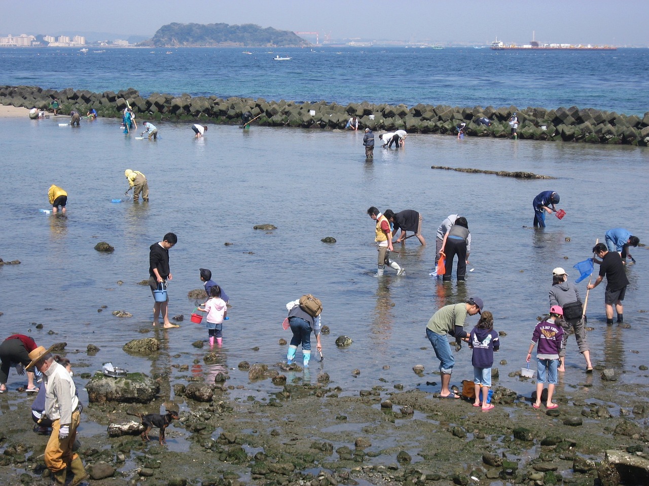 厦门黄金沙滩，值得一游的海滩胜地