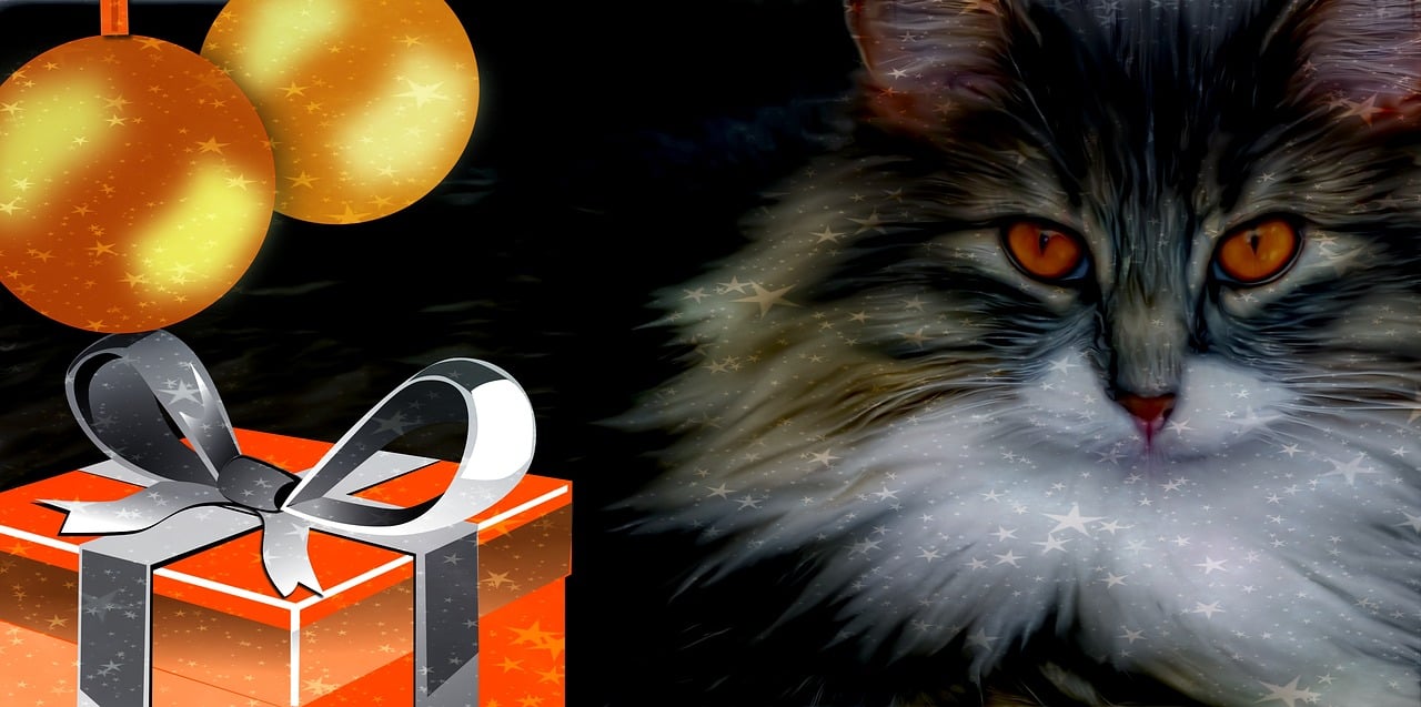 猫和老鼠的黄金排位攻略，高效战术与策略分享