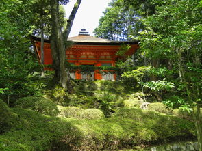 龙头寺周围餐饮品牌全览