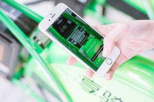 京东白条怎样扫码提现 京东白条扫码提现全攻略