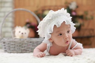 沧州婴幼儿早教班加盟费概览