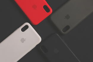 京东白条提现到余额攻略